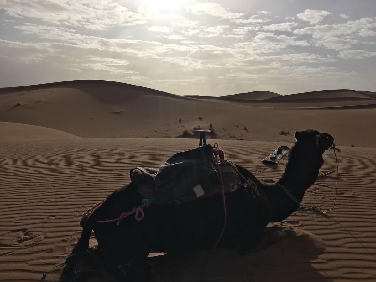 Camp Desert Stars M'Hamid Bagian luar foto